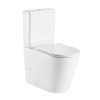 Toaleta monobloc Wellis Clement, portelan, evacuare spate, design fara rama, 38.5x67.5x86 cm. Garantie 5 ani. NU include capac!