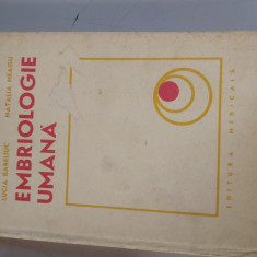 Embriologie umana