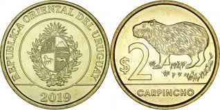 Uruguay 2019 - 2 pesos, capibara, UNC foto