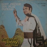 Gheorghe Rosoga &ndash; Sant fecior din plai oltean