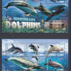 Sierra Leone 2016 - Fauna Marina - DELFINI - BL + KB - MNH