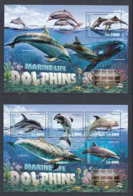 Sierra Leone 2016 - Fauna Marina - DELFINI - BL + KB - MNH foto