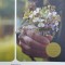 Busola lui Noe - 2010 - Anne Tyler (@B69)