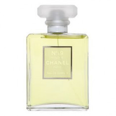 Chanel No.19 Poudre eau de Parfum pentru femei 100 ml foto