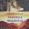 COMORILE NEAMULUI. MONOGRAFIE DOCUMENTAR-PUBLICISTICA-VALERIA FLOREA-DASCAL-238721