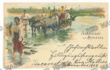 5701 - COUNTRY LIFE, Litho, ox cart, Romania - old postcard - used - 1898