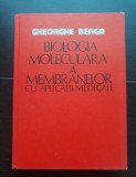 Biologia moleculară a membranelor cu aplicații medicale - Gheorghe Benga