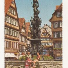 SG5 - Carte Postala - Germania, Tubingen, Marktplatz, Necirculata