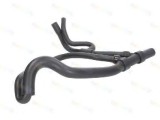 Furtun radiator RENAULT MEGANE I Scenic (JA0/1) (1996 - 2001) THERMOTEC DWR113TT