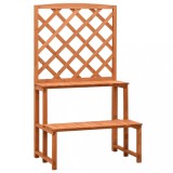 Suport plante cu spalier, portocaliu, 70x42x120 cm, lemn brad