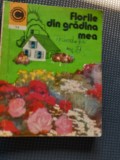 FLORILE DIN GRADINA MEA Elena Selaru