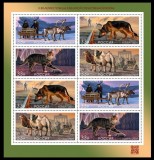 RUSIA 2025 FAUNA ANIMALE DOMESTICE