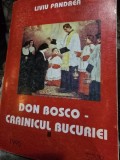 Don Bosco Crainicul bucuriei vol.II - Liviu Pandrea