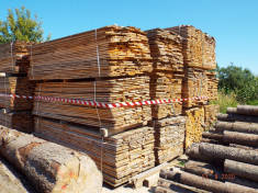 Material lemnos: Lot 2 - 43,13 m3 cherestea esen?a ra?inoasa foto