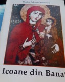 Icoane din Banat - Dorina Sabina Parvulescu, Eurobit 1997, Carte Istorie, Banat, 94 pagini