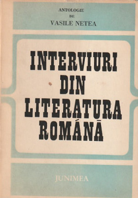 VASILE NETEA - INTERVIURI DIN LITERATURA ROMANA foto