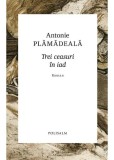 Trei ceasuri in iad &ndash; Antonie Plamadeala