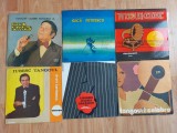 Lot 6 discuri vinil tangouri celebre (Lot 4)