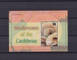 Coliță / Bloc Suvenir Antigua &amp; Barbuda 2007 - Tematica Ciuperci, Specia Pleurotus djamor - MNH -A99