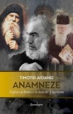 Anamneze carte Timotei Aioanei hardcover religioase crestinism povestitori literatura artistica