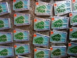 grup insigne copacul verde -ecologie .Pret 35 lei bucata