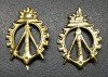 Rom&acirc;nia Semne de arma Geniu aurii noi