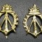 Rom&acirc;nia Semne de arma Geniu aurii noi