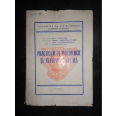 Ion T. Tarnavschi - Practicum de morfologie si anatomie vegetala