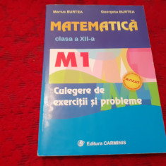 MATEMATICA CLASA A XII CULEGERE DE EXERCITII SI PROBLEME BURTEA RF19/2