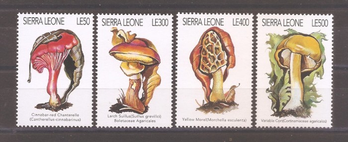 Sierra Leone 1996 - Ciuperci (serie + MC de 8 + 2 colite), 6 poze, MNH