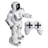 ROBOT ELECTRONIC CU RADIOCOMANDA PR&Omicron;GRAMM A BOT X, Silverlit