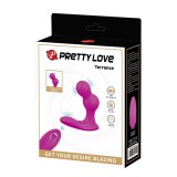 Vibrator pentru prostata si perineu Pretty Love Terrance RC 10,3 cm