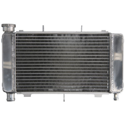 RADIATOR YAMAHA FZ6 600 2004 2006 foto