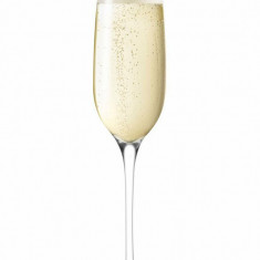 Eva Solo pahar de șampanie Champagne
