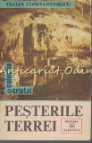 Pesterile Terrei - Traian Constantinescu