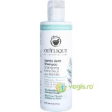 Sampon pentru Par Normal/Gras cu Plante Bio 200ml