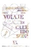 Voiaje in caleidoscop &ndash; Irene Hillel-Erlanger - Roman Beletristica