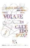 Voiaje in caleidoscop &ndash; Irene Hillel-Erlanger - Roman Beletristica