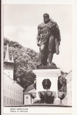 Carte Postala veche Romania-Baile Herculane-Statuia lui Hercules ,Circulata 1960 foto