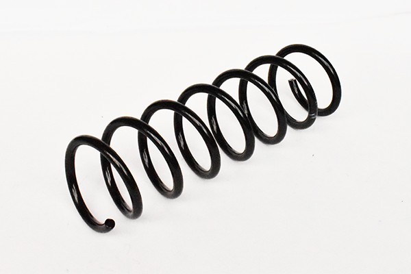 Arc Suspensie Spate 65960 NGH 02.03.028