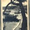 AD 427 C. P. VECHE-NICE -FRANTA -1939 -CATRE ALECU IONESCU, MINISTERUL EDUCATIEI
