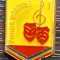 INSIGNA ROMANIA - PIONIER INTERPRET - CLASA I, TEMATICA PIONIERI