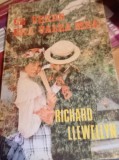 CE VERDE ERA VALEA MEA Richard Llewellyn