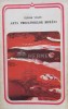 Arta Prozatorilor Romani - Tudor Vianu, Minerva, 1988, 378 pagini, Brosata, Stare Buna