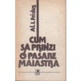 Cum sa prinzi o pasare maiastra