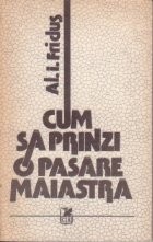 Cum sa prinzi o pasare maiastra foto