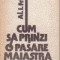 Cum sa prinzi o pasare maiastra