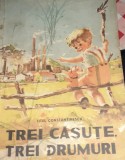 TREI CASUTE,TREI DRUMURI TITEL CONSTANTINESCU