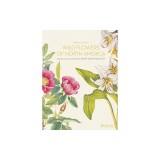Wild Flowers of North America: Botanical Illustrations by Mary Vaux Walcott