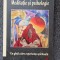 MEDITATIE SI PSIHOLOGIE. Un ghid catre experienta spirituala - Vignes